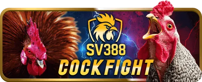Nhân viên hỗ trợ khách hàng VIP PK8