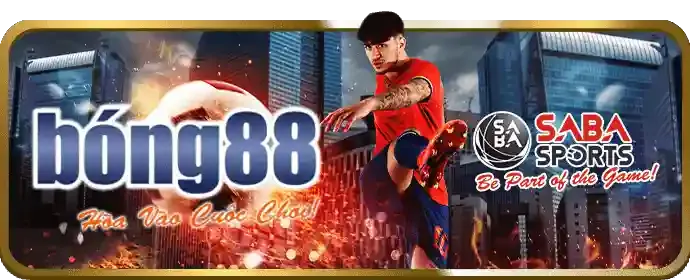 Hướng dẫn tham gia và thăng cấp VIP